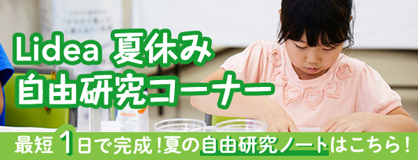 Lidea 夏休み 自由研究コーナー