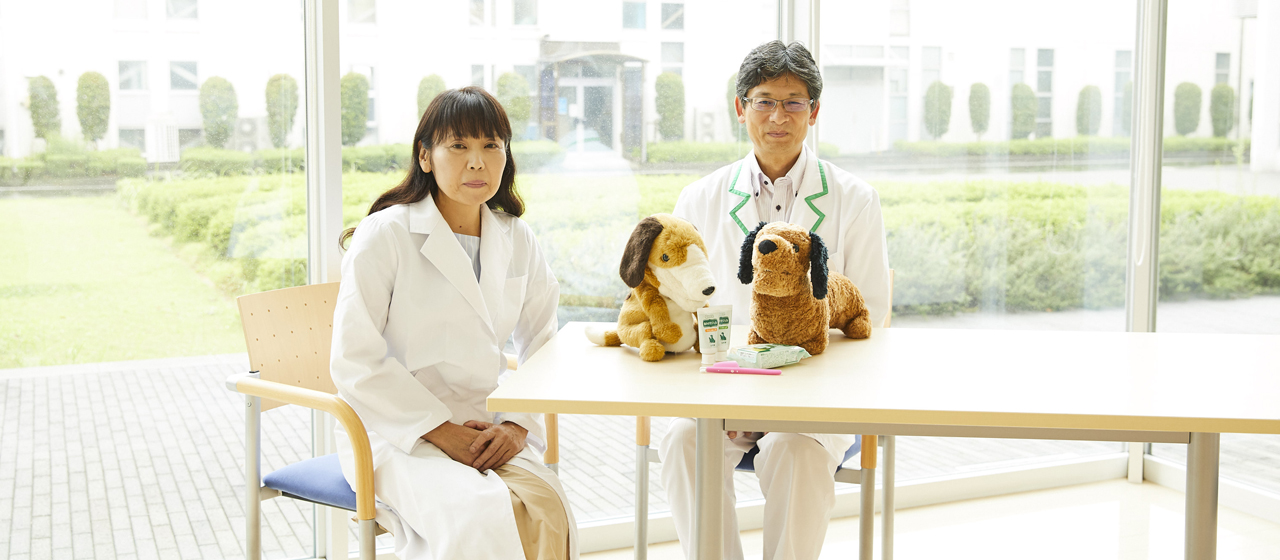 犬の「歯みがき」どうしてる?みがき方&頻度について徹底取材!