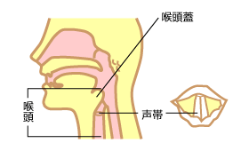 喉頭炎