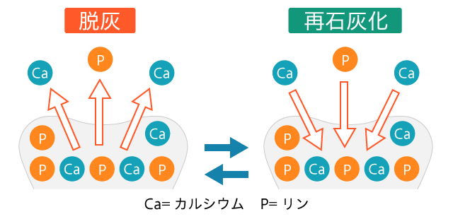脱灰と再石灰化ってなんですか