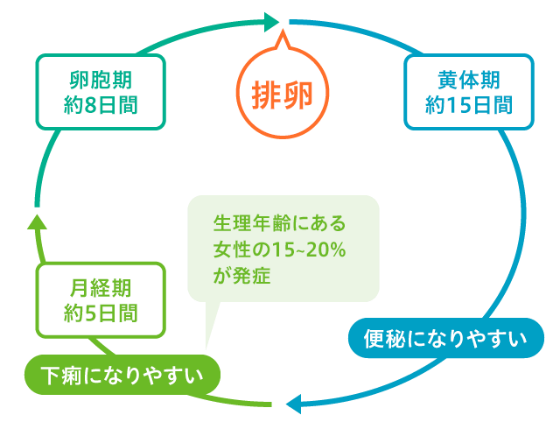 <生理のサイクルとお腹の状態>