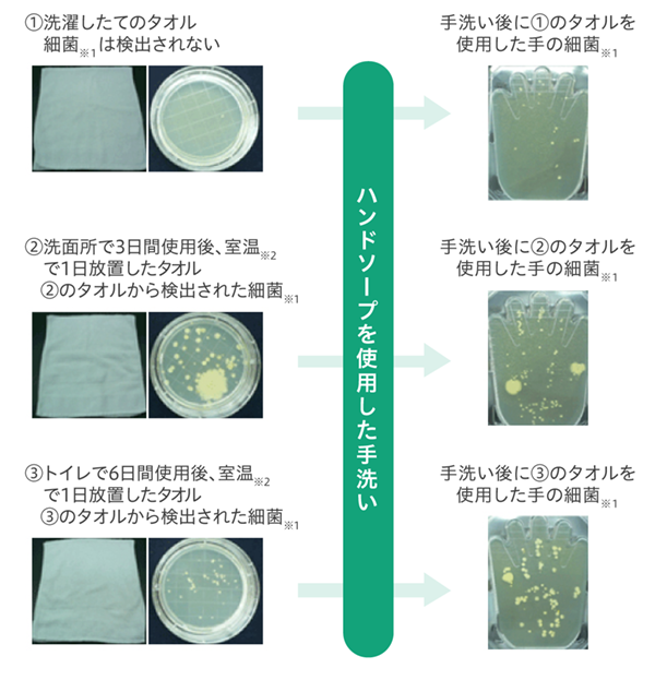 菌汚染状態