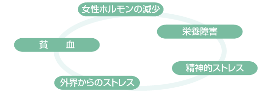 女性型脱毛症の「原因」