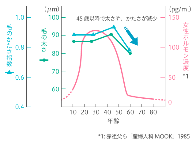 「女性ホルモン」と薄毛の関係