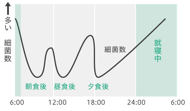 一日の唾液中細菌数の変化