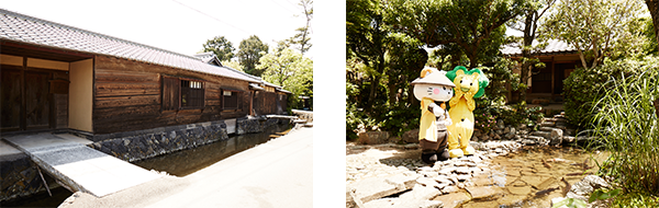 写真:池泉(ちせん)庭園