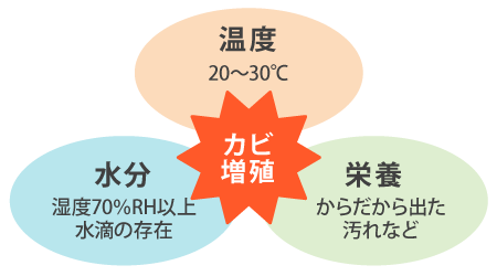 「浴室のカビ」を防ぐための3つの条件