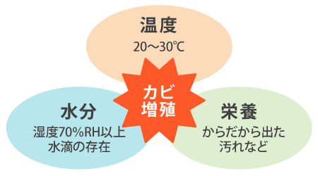 カビの分解・漂白になぜ「空気」が必要なの?