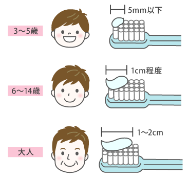 年齢に応じた適切なハミガキの量