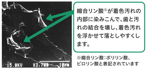歯の着色汚れを落としやすくする効果