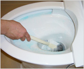 4.「水がたまる部分の周辺」をブラシでこする