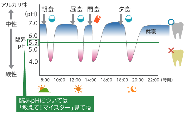 歯の表面が「再石灰化(さいせっかいか)」する