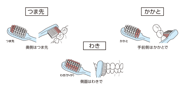 「歯ブラシの使い方」のコツ