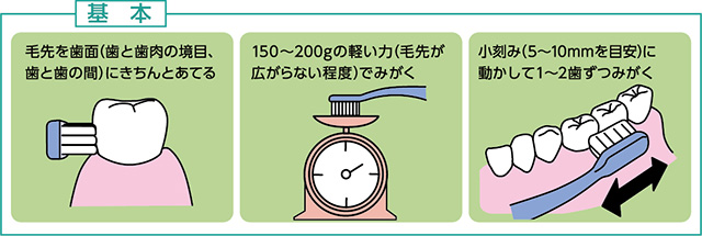 歯みがきには次の「3つの基本」があります
